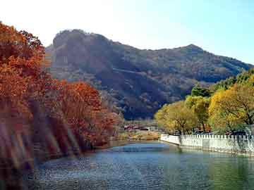 新澳门期期准精准，水晶发夹